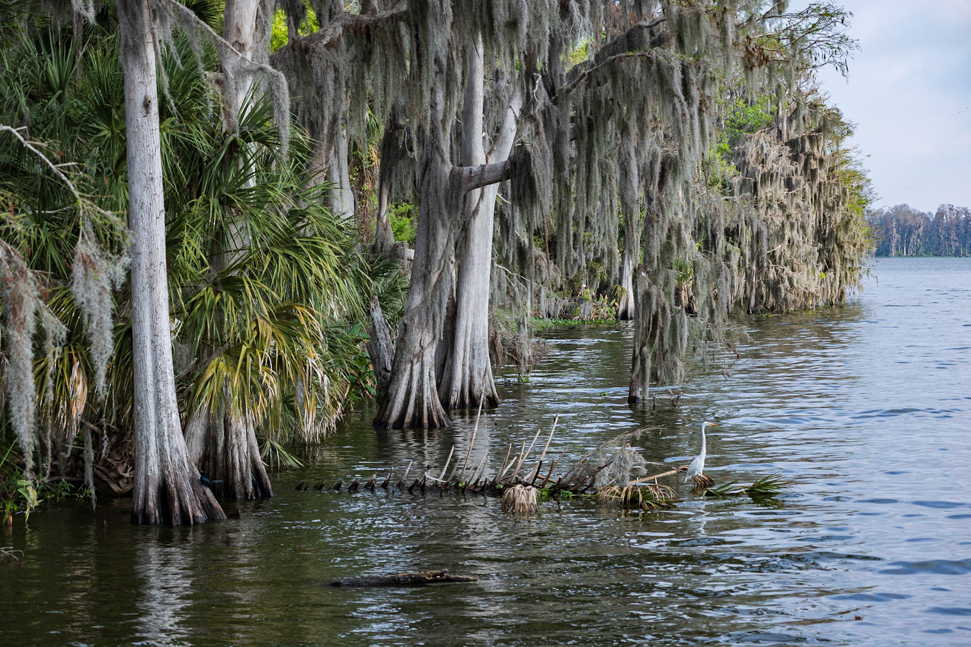 Circle B Bar Reserve FL