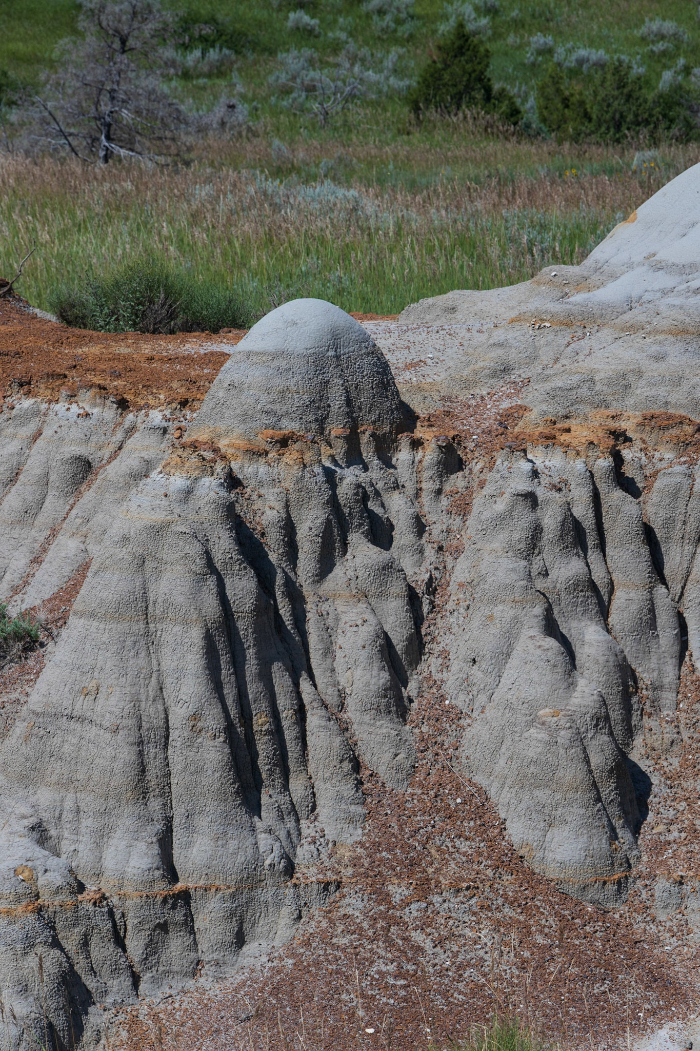 Theodore Roosevelt NP, South Unit, ND