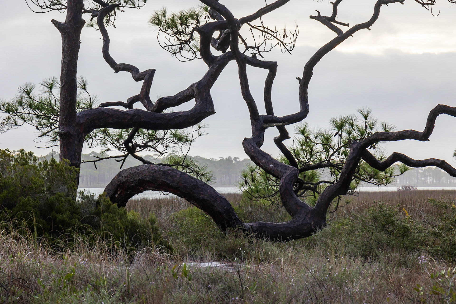 Saint George Island SP,FL