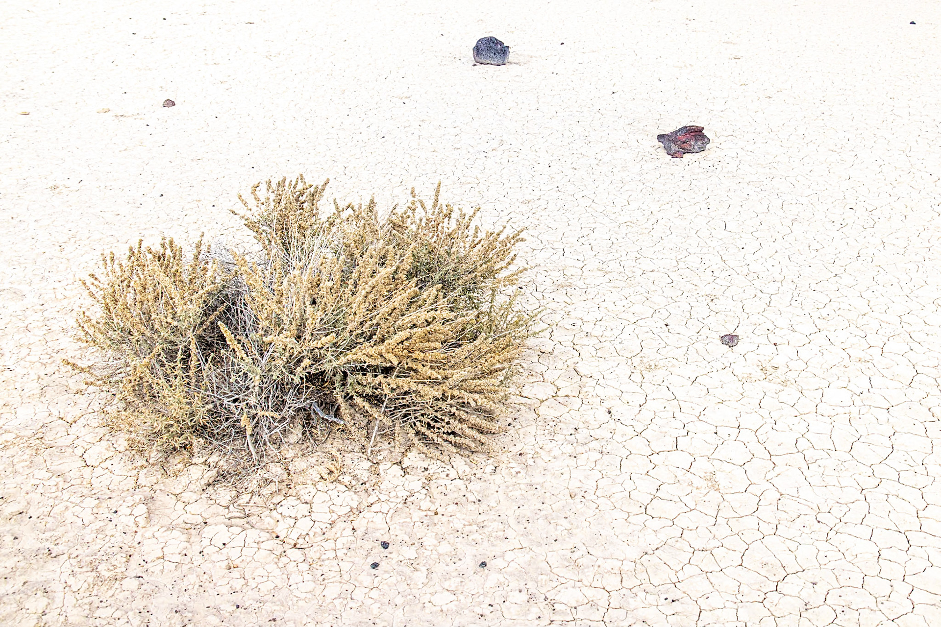 Lunar Crater NM, Warm Springs NV