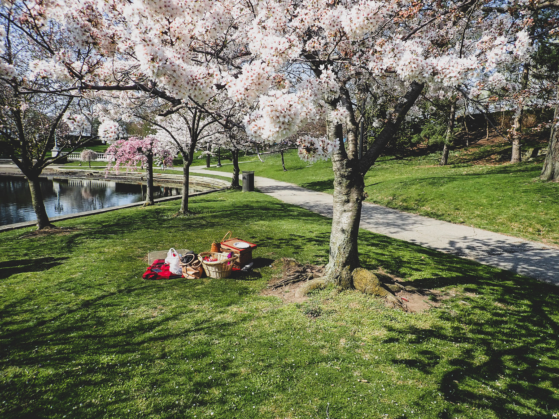 Wade Park, Cleveland OH