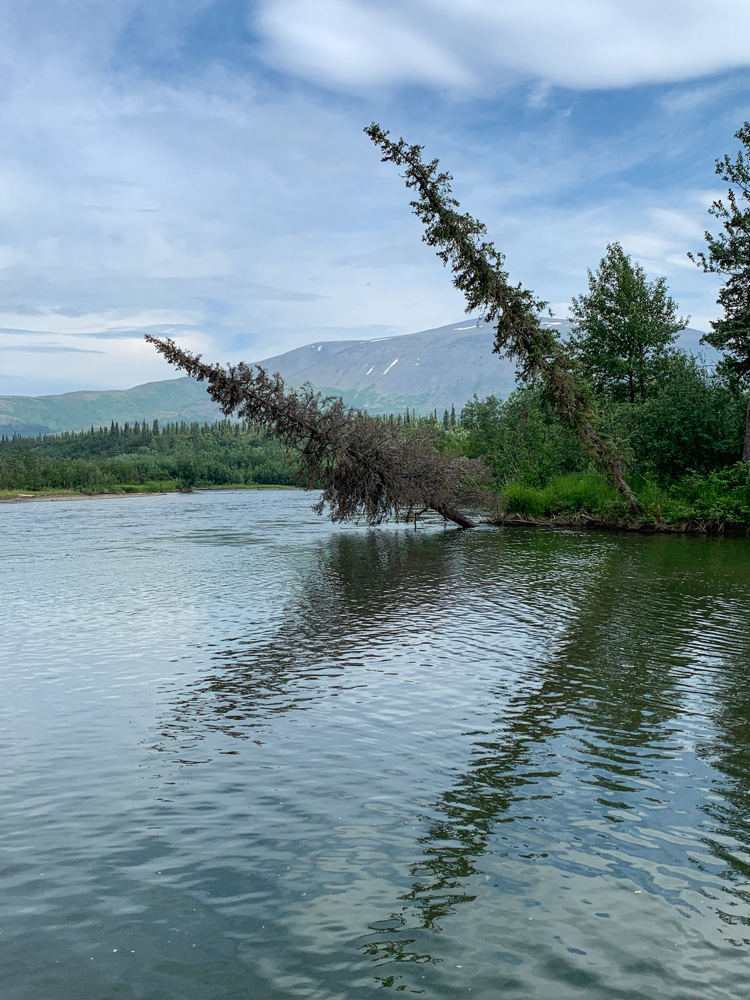 Marabou Camp Trip, AK