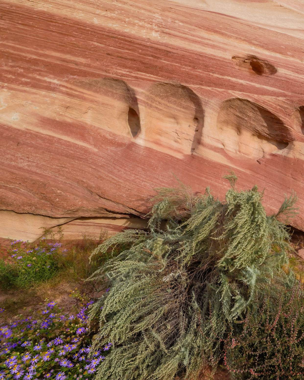 White House CG, Knab UT