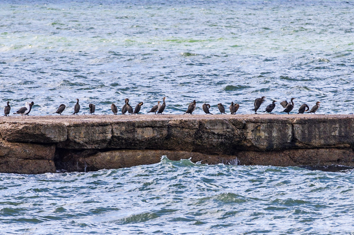 La Bloc Beach, Cabot Trail NS