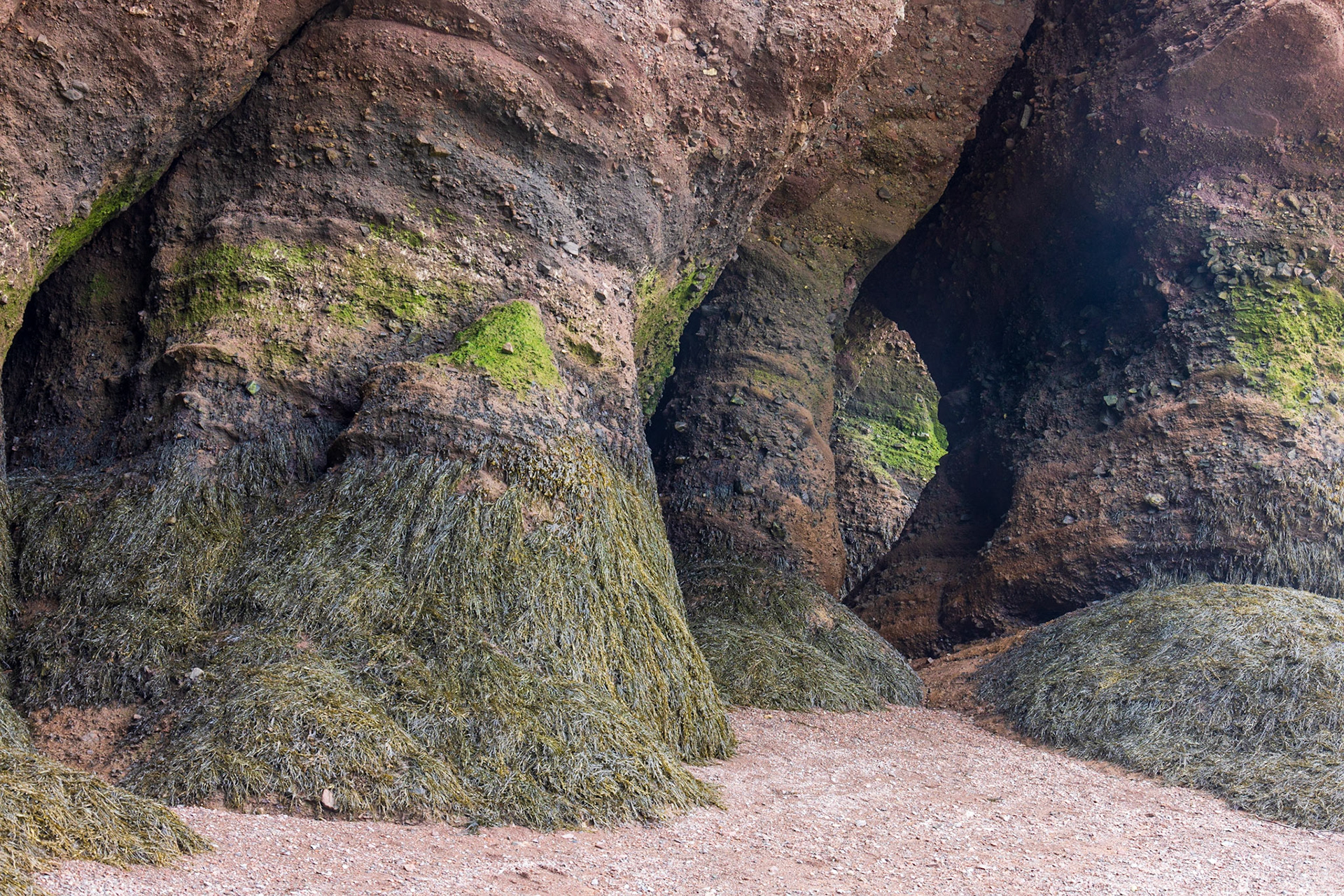 Hopewell Rocks PP, New Brunswick