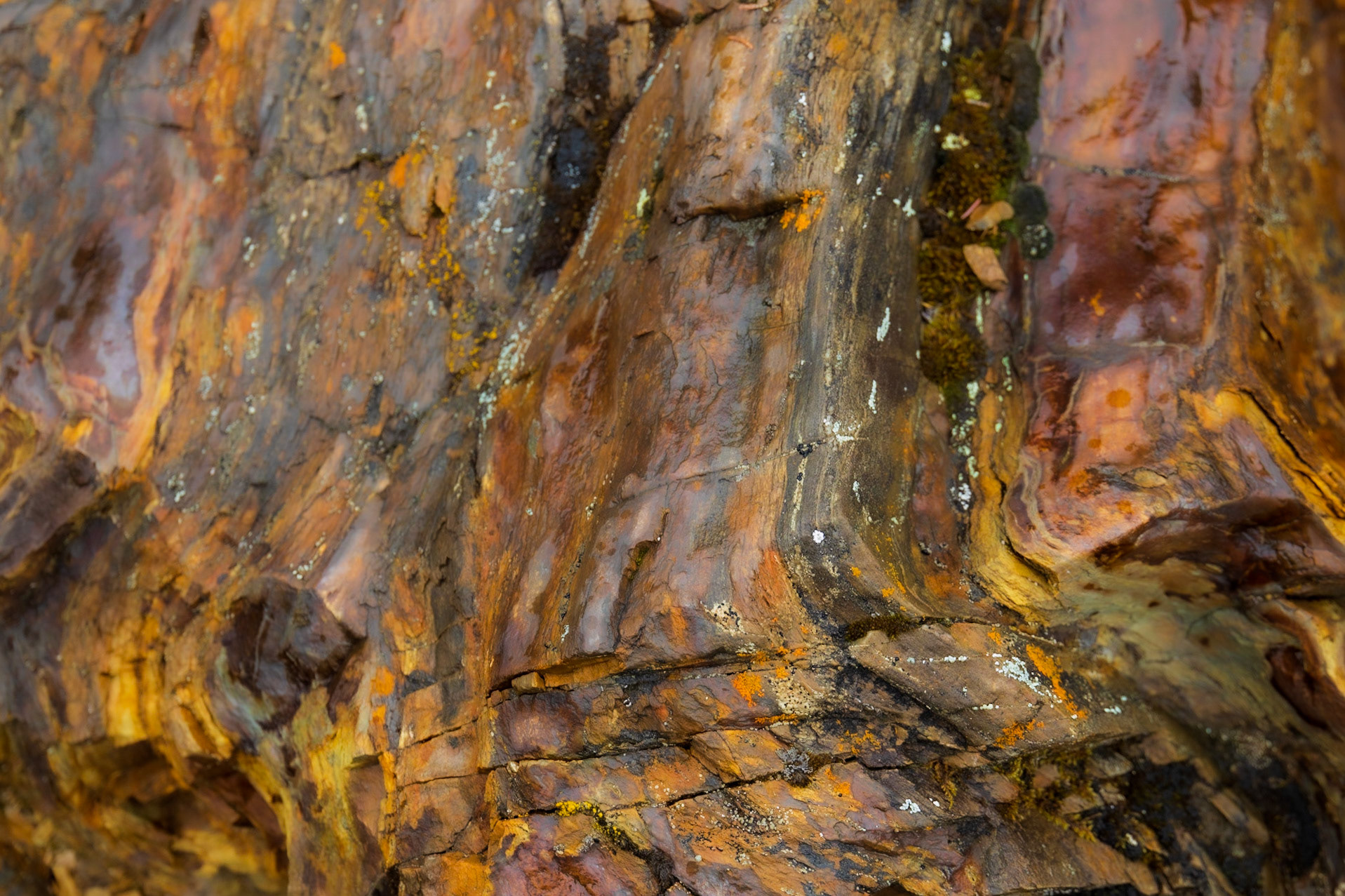 Lapie River, Canol Rd, Yukon