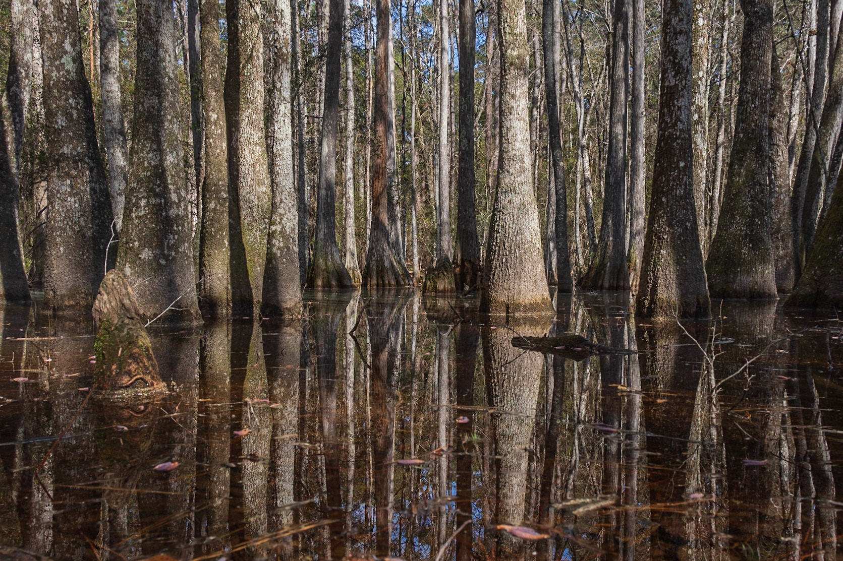 Leon Sinks Geological Area, FL