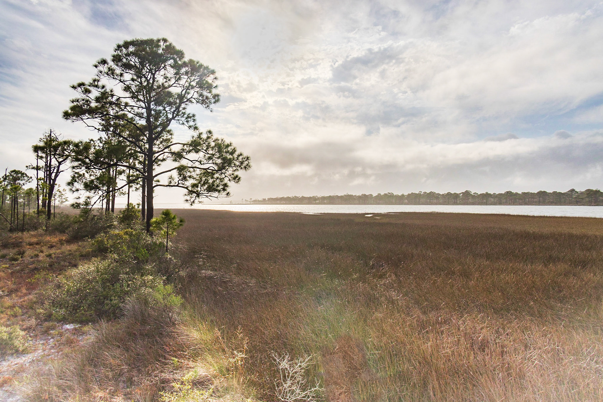 Saint George Island SP,FL