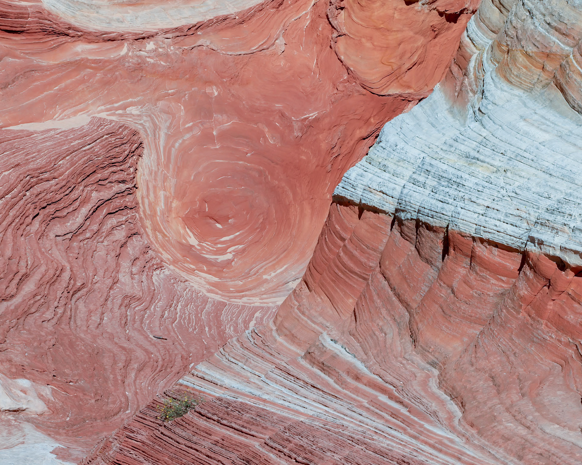 White Pockets, Vermillion Cliffs AZ