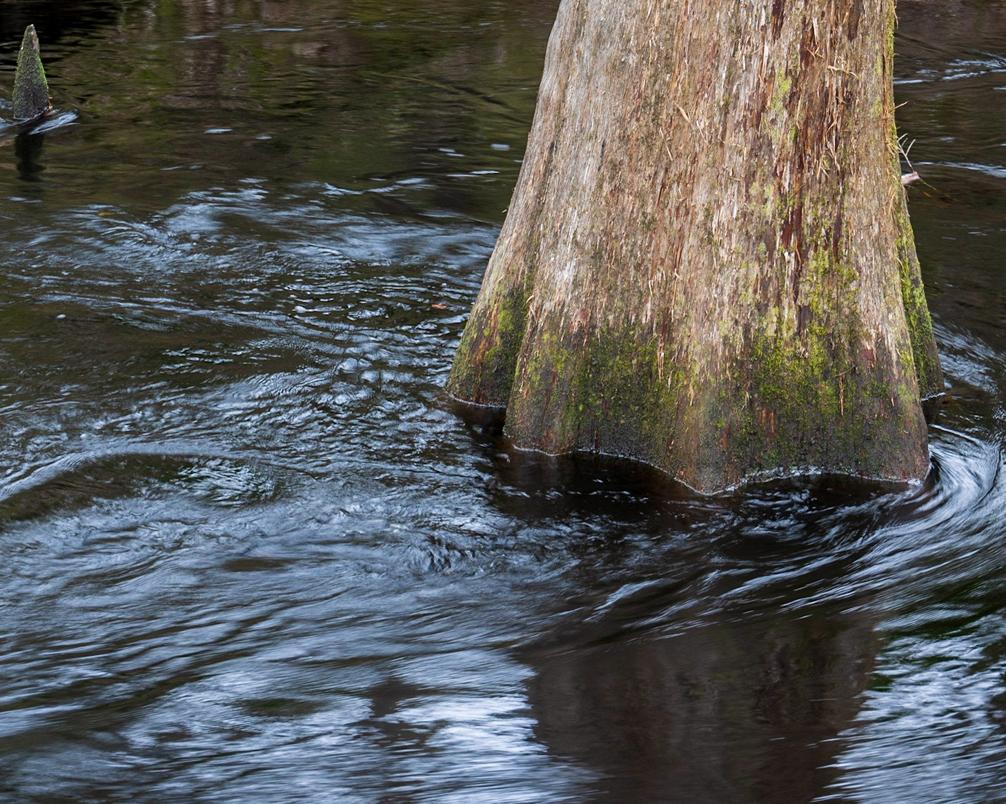 Aucilla River, Goose Pasture Road, FL