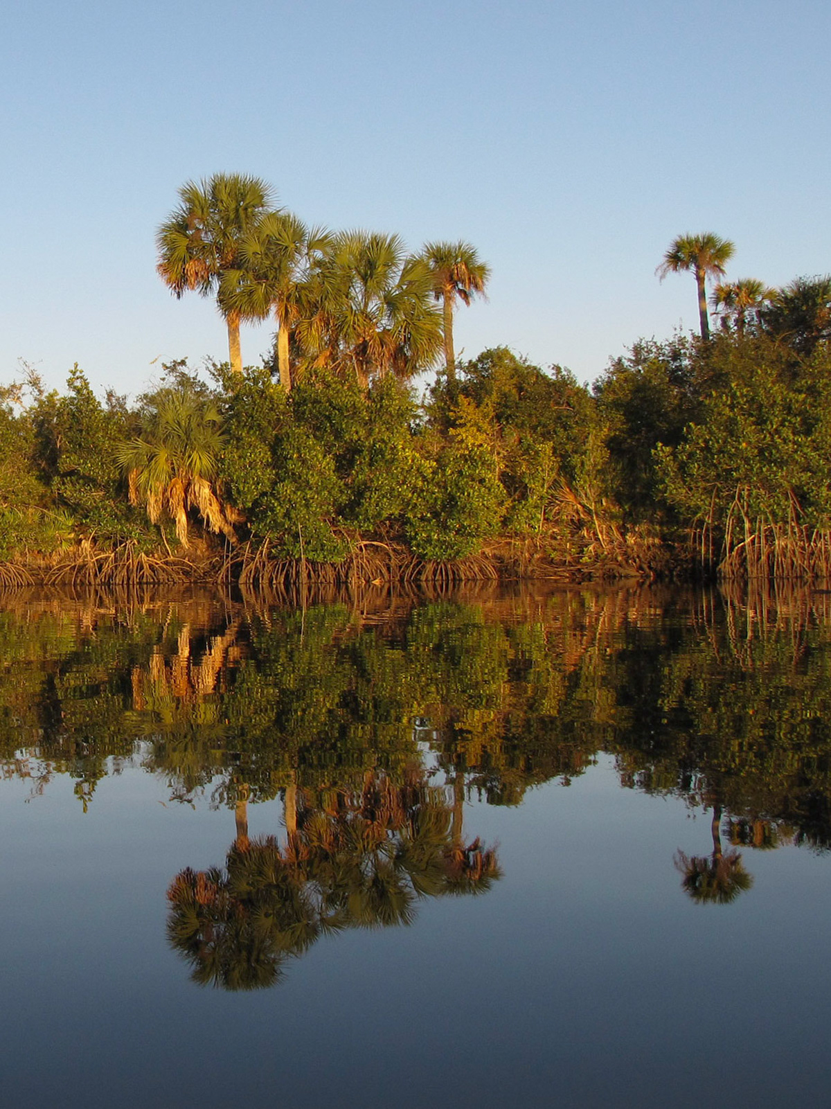 Peace River, Florida