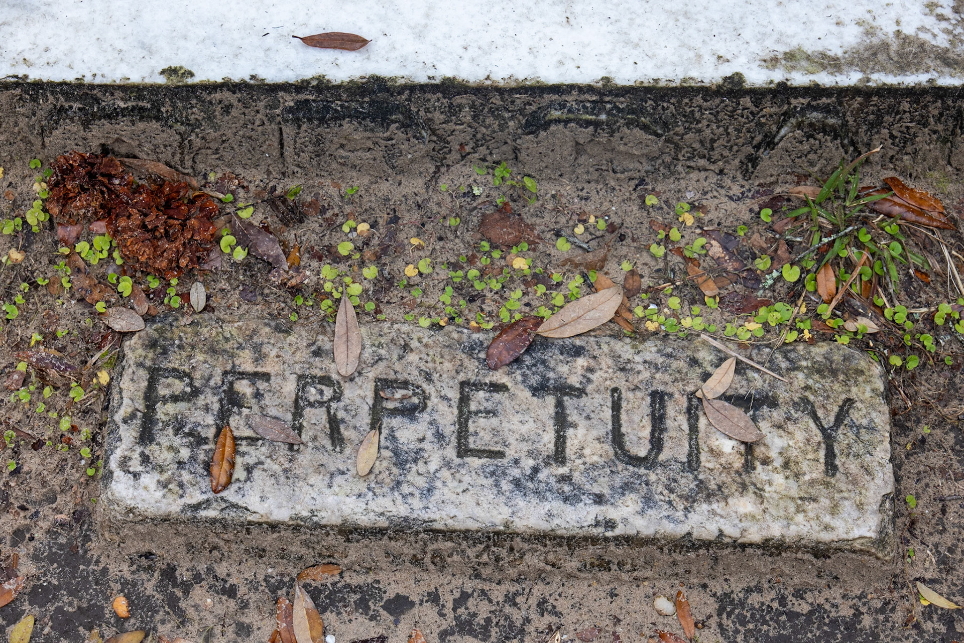 Bonaventure Cemetery, Savannah GA