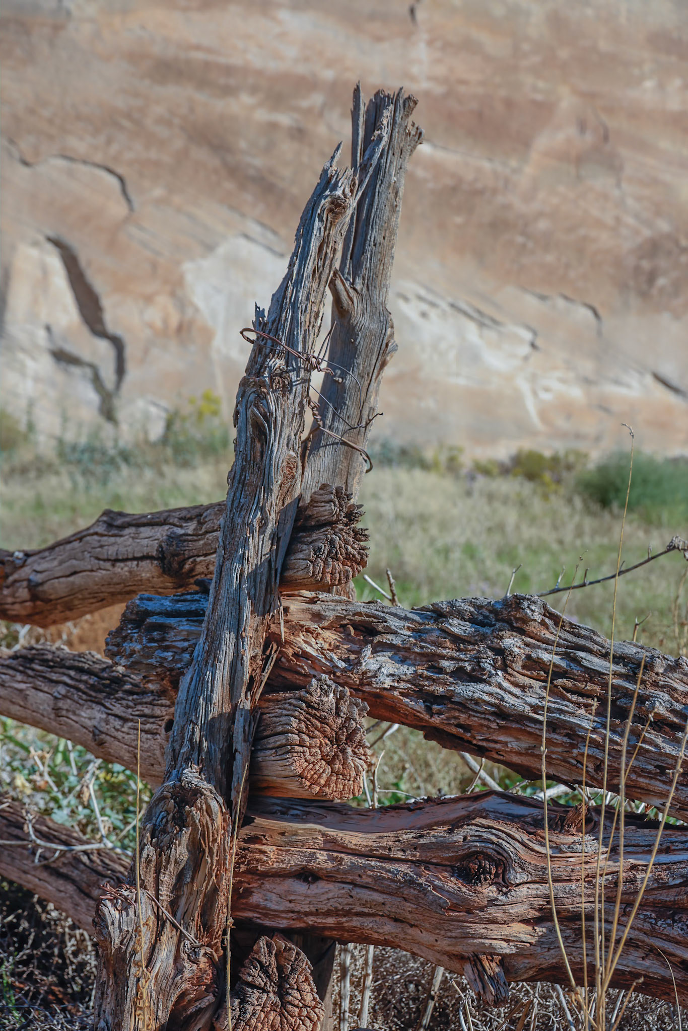 White House CG, Knab UT