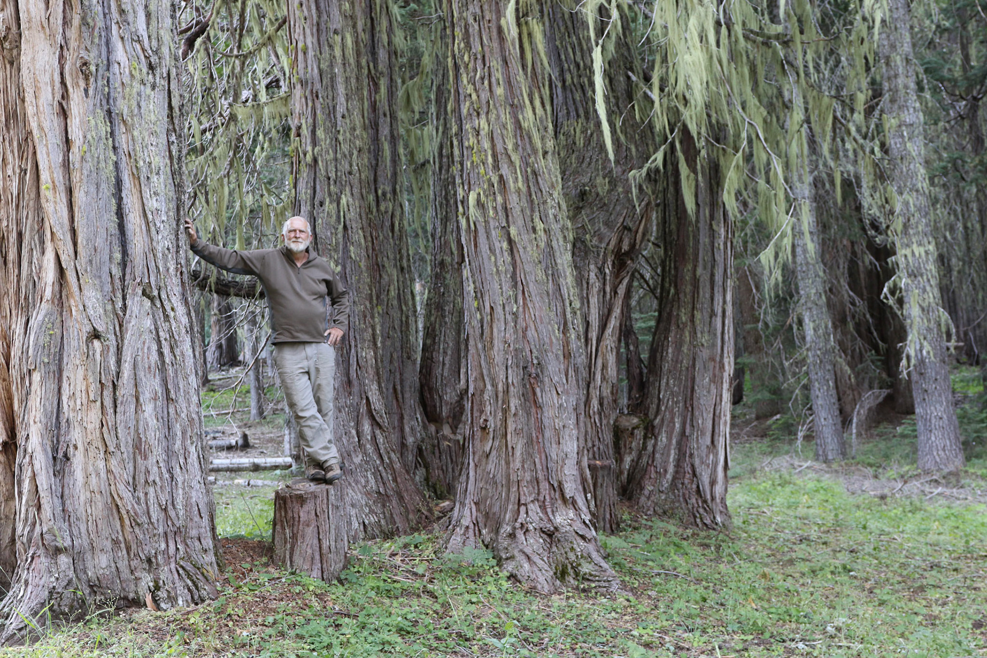 NF 6510, Union Creek OR