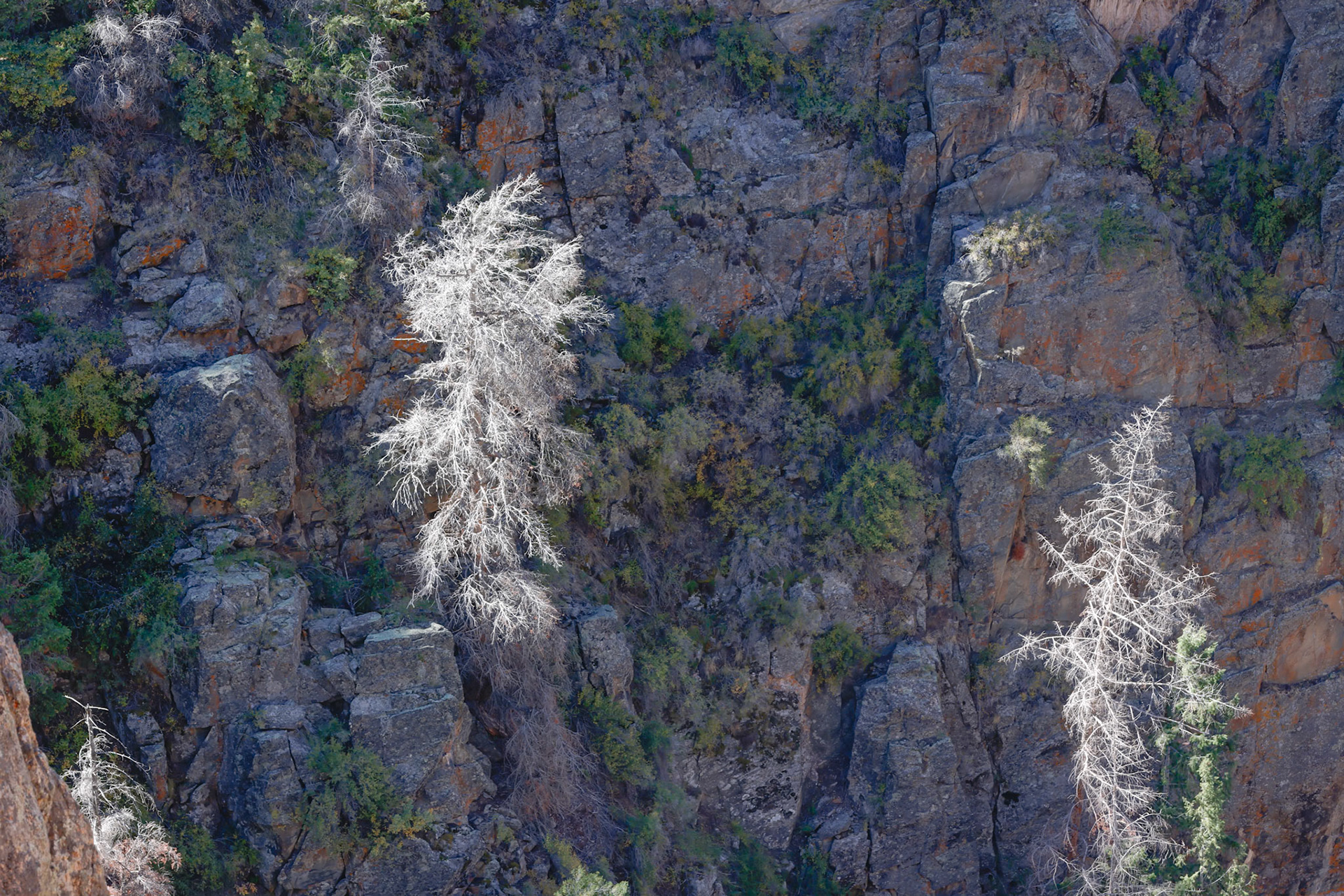 Black Canyon of the Gunnison Montrose CO