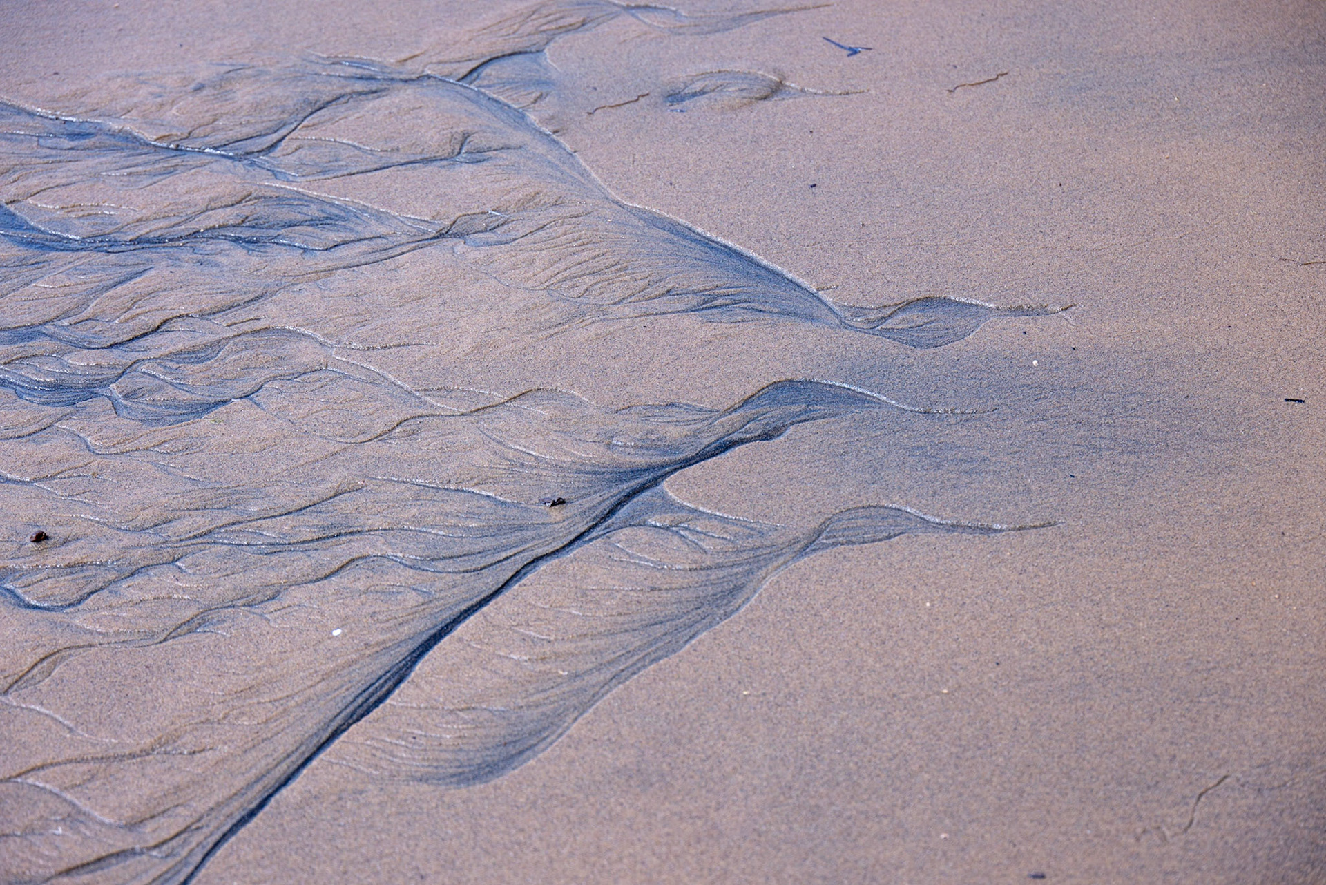 Chemin de l'anse Charron QC