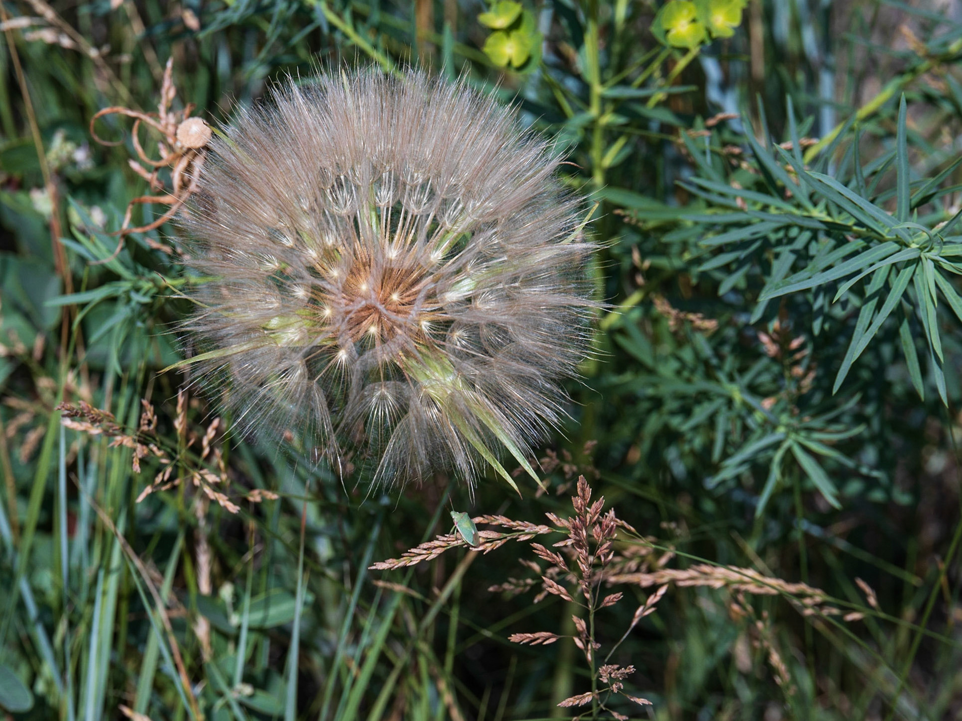 Theodore Roosevelt NP, South Unit, ND