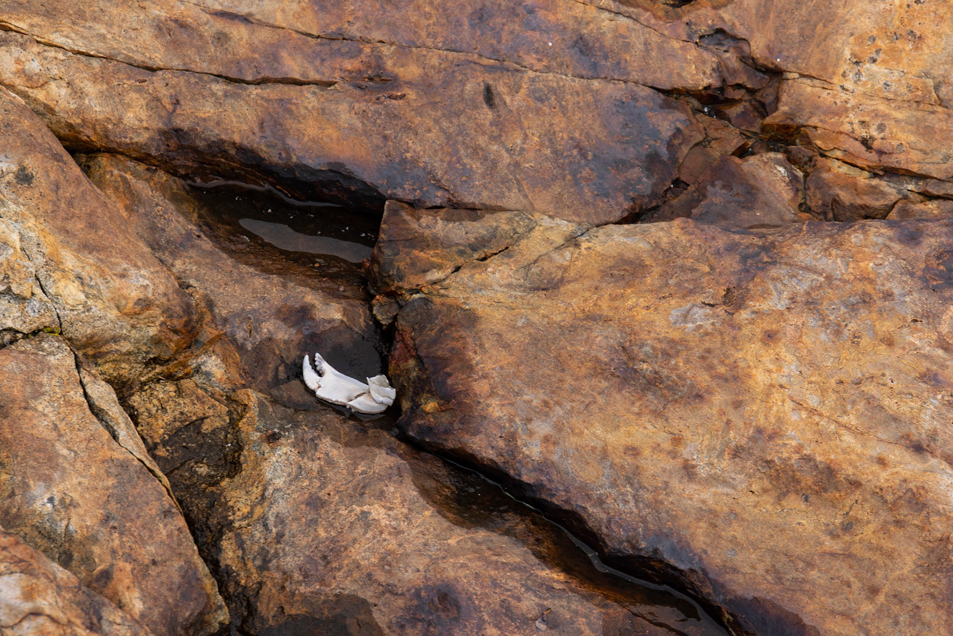 Little Hunters Beach, ME