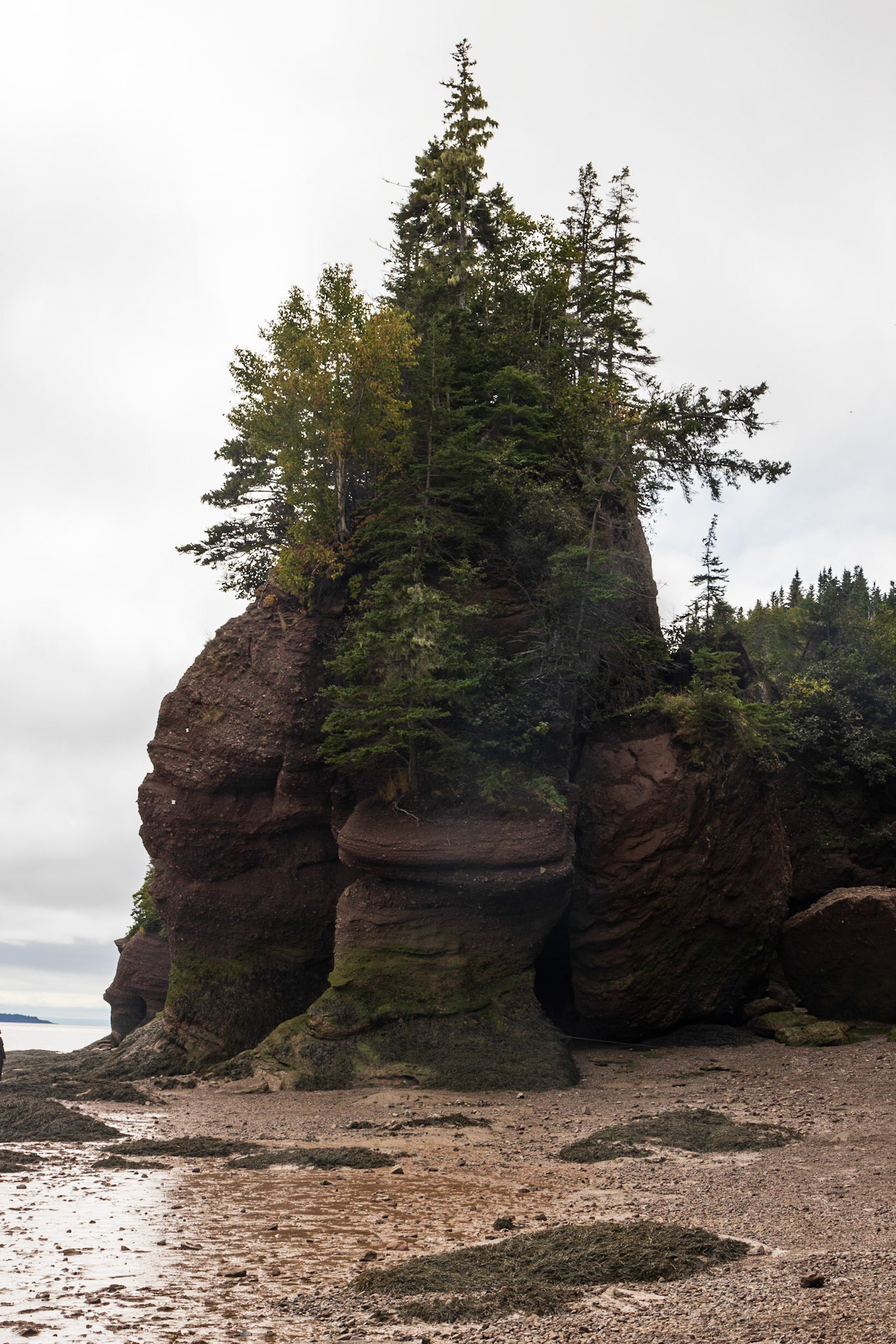 Hopewell Rocks PP, New Brunswick