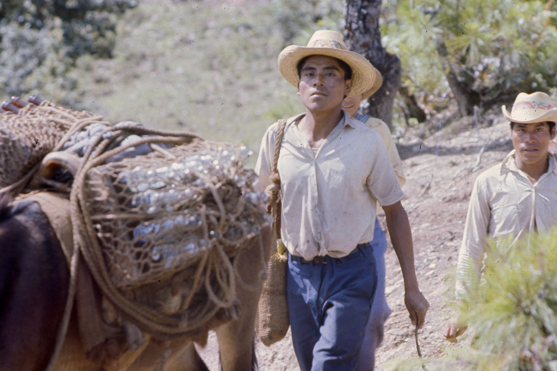 Cunen del Quiche, Gautemala
