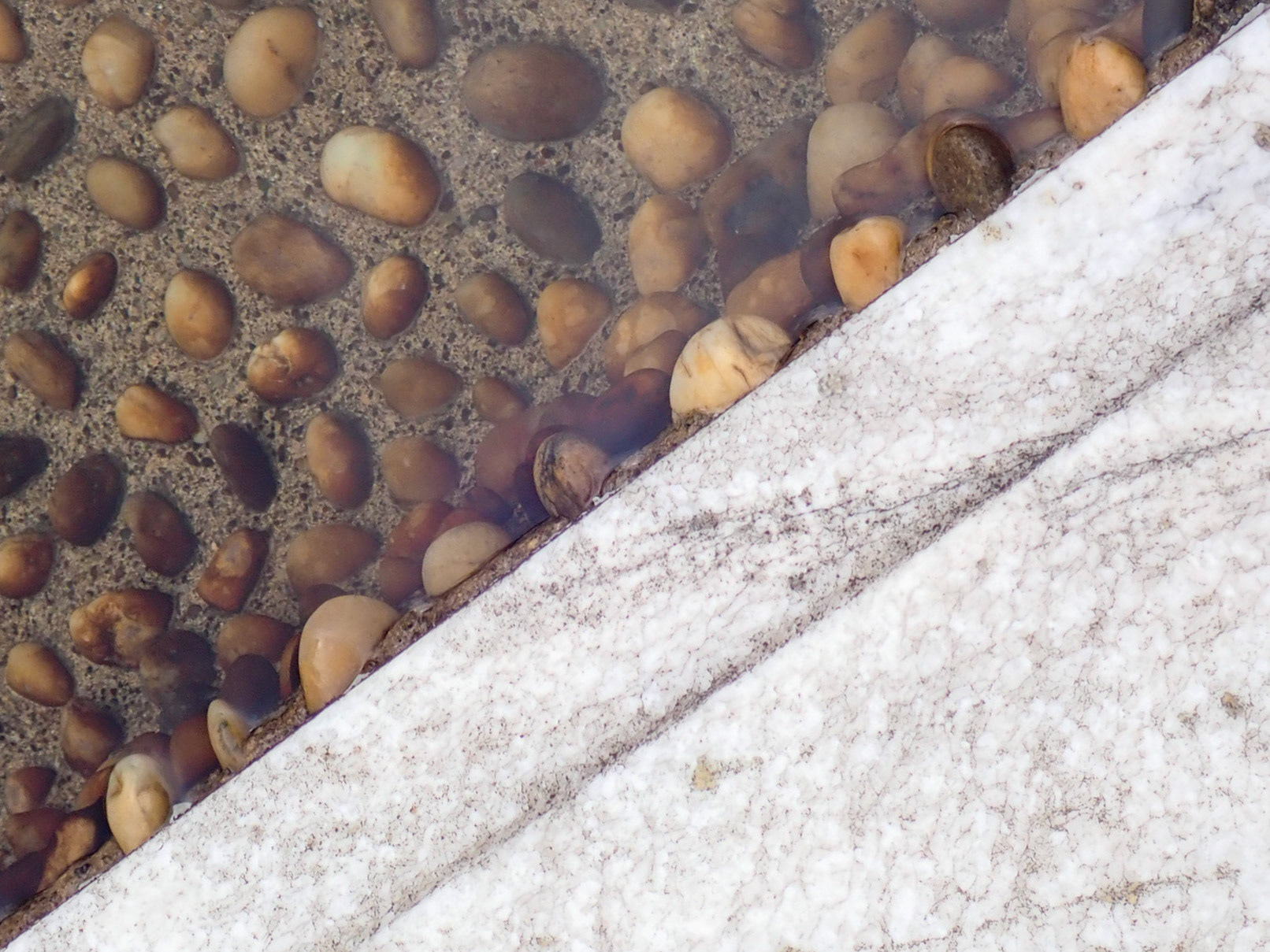 Cleveland Museum of Art