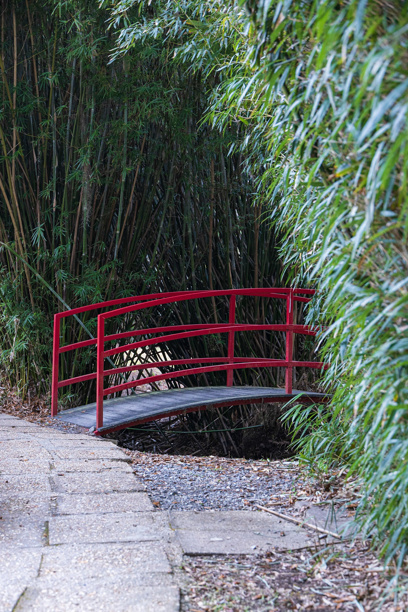 Avery Island Jungle Gardens LA