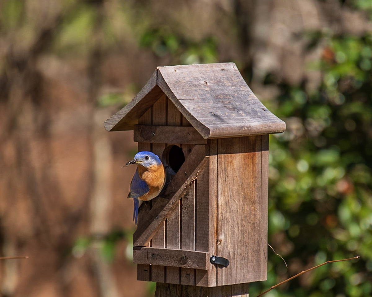 Marcias House, Tallahassee, FL