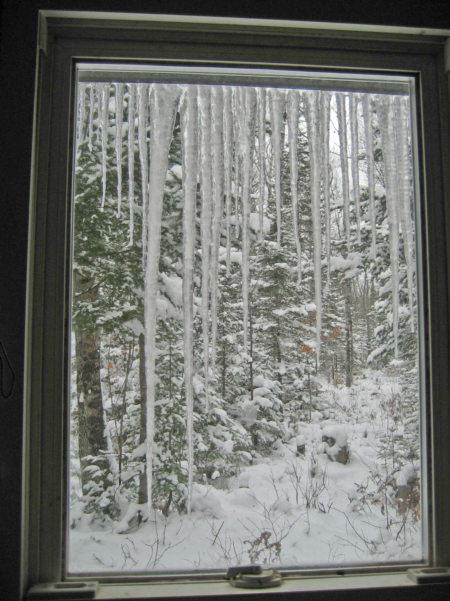 Back Forty, Victoria Dam MI