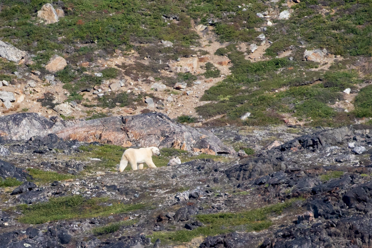 Field Trip up the North Arm, Torngat Mtns, NL