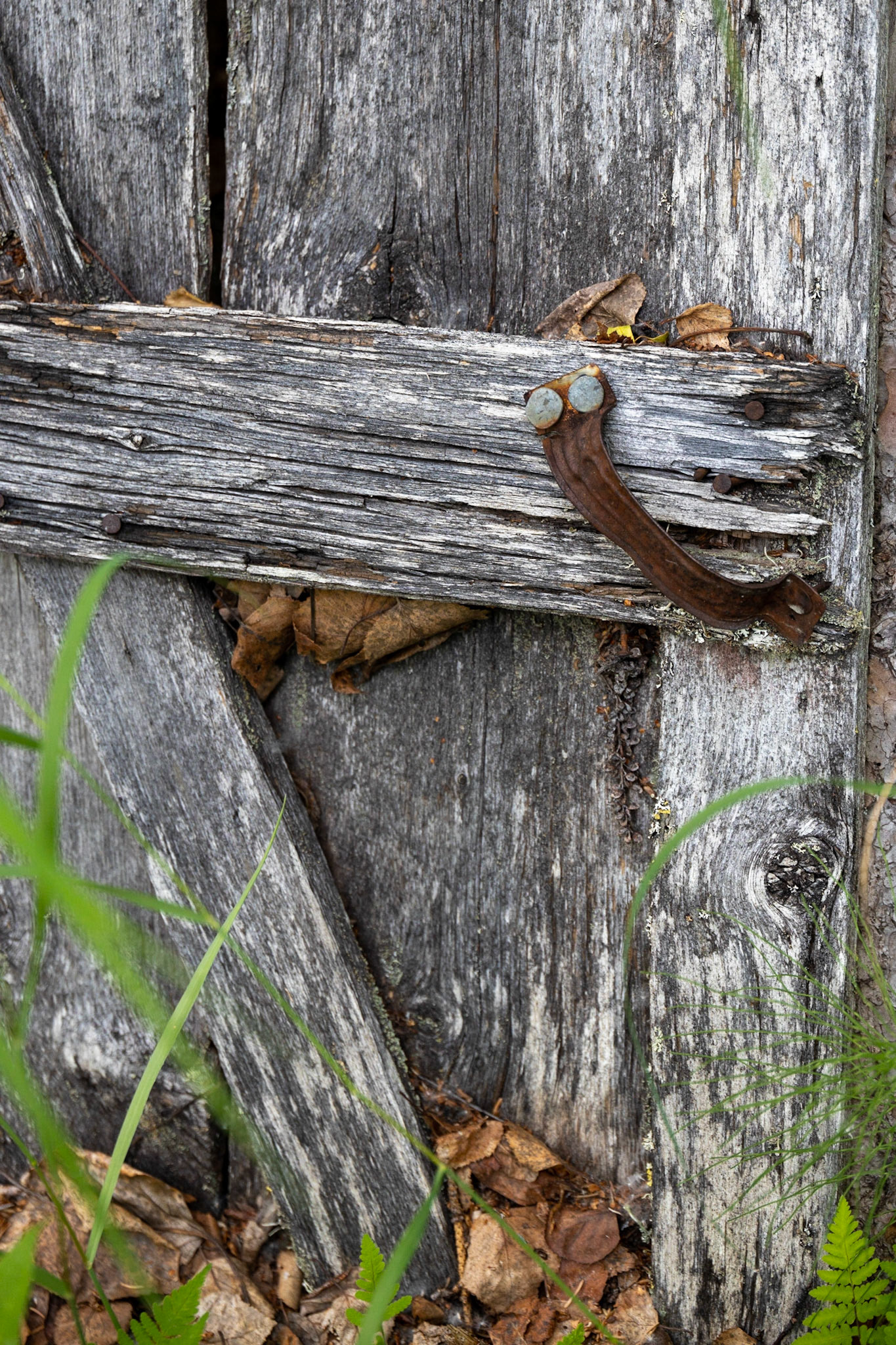 Bowman Mining Camp Trip, Lake Clark, AK