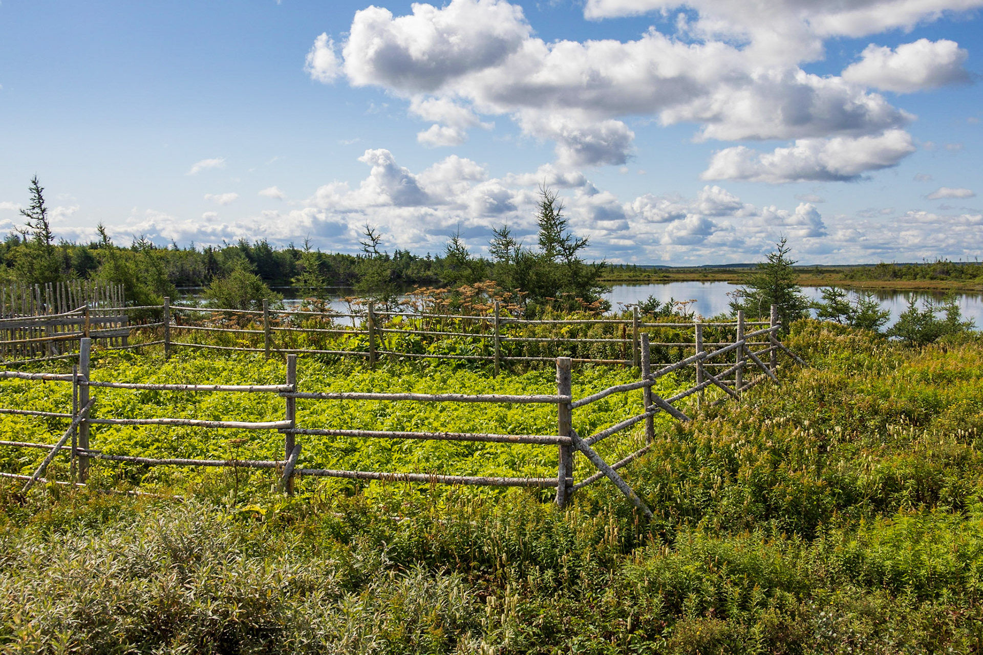 Roadside Right of Way Garden, NL
