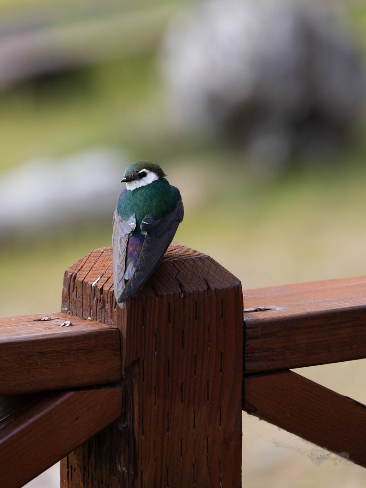 Stonewood Lodge, Lake Clark, AK