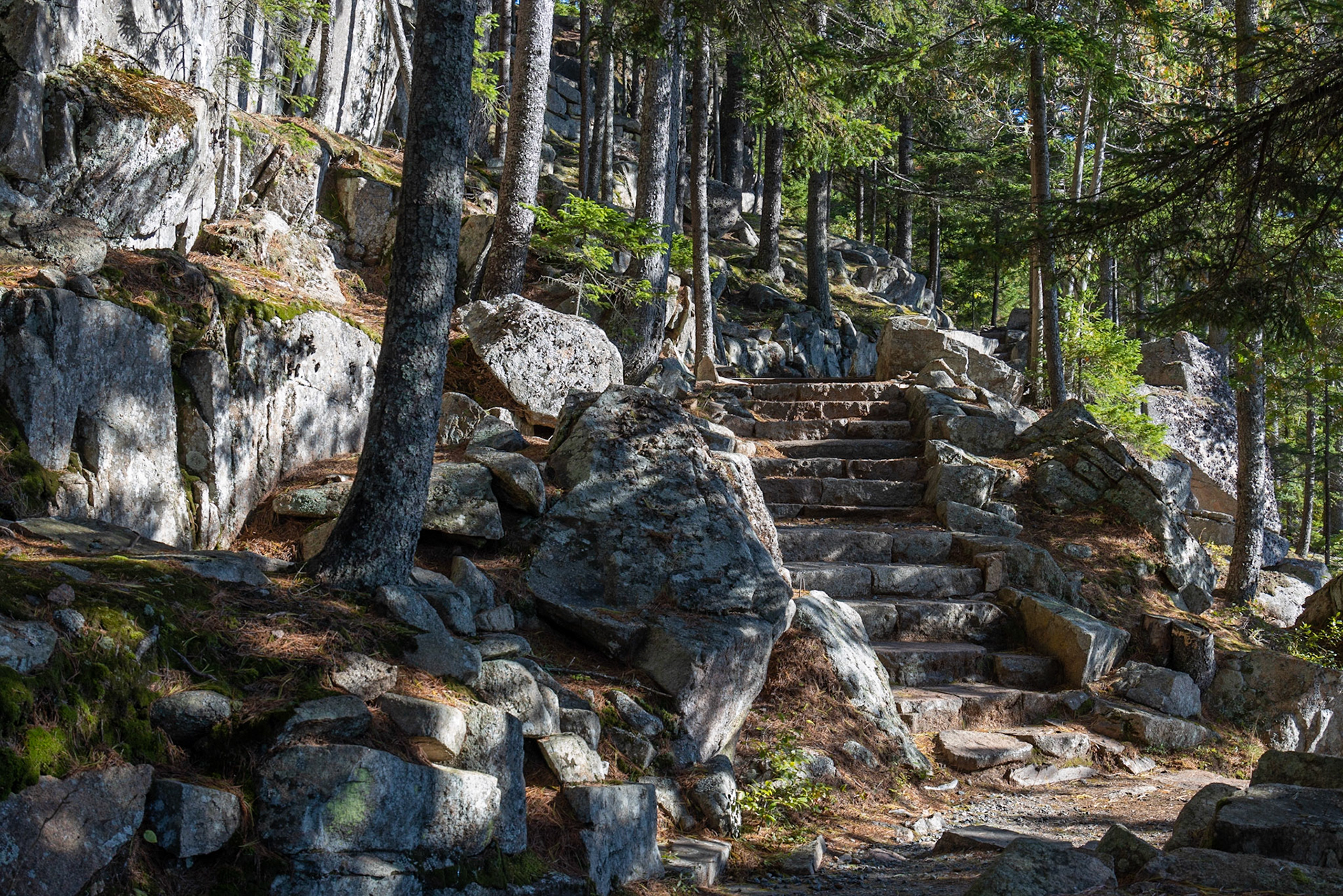 Thuya Garden, Asticou, ME