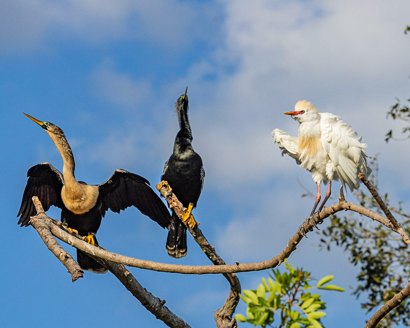 Wilderness Park CG, Fussels Corner, FL