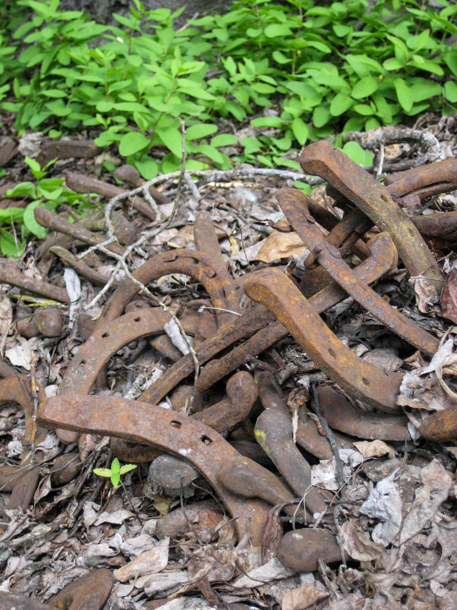 Glenora Ranch, Telegraph Creek  BC CA