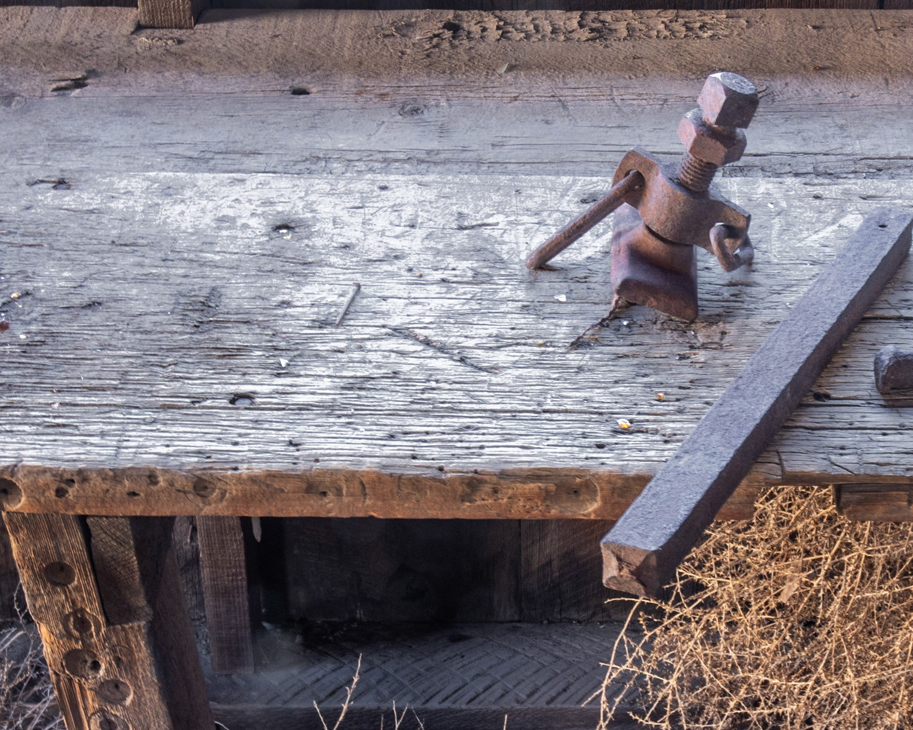 Berlin-Ichthysaur SP, Berlin NV