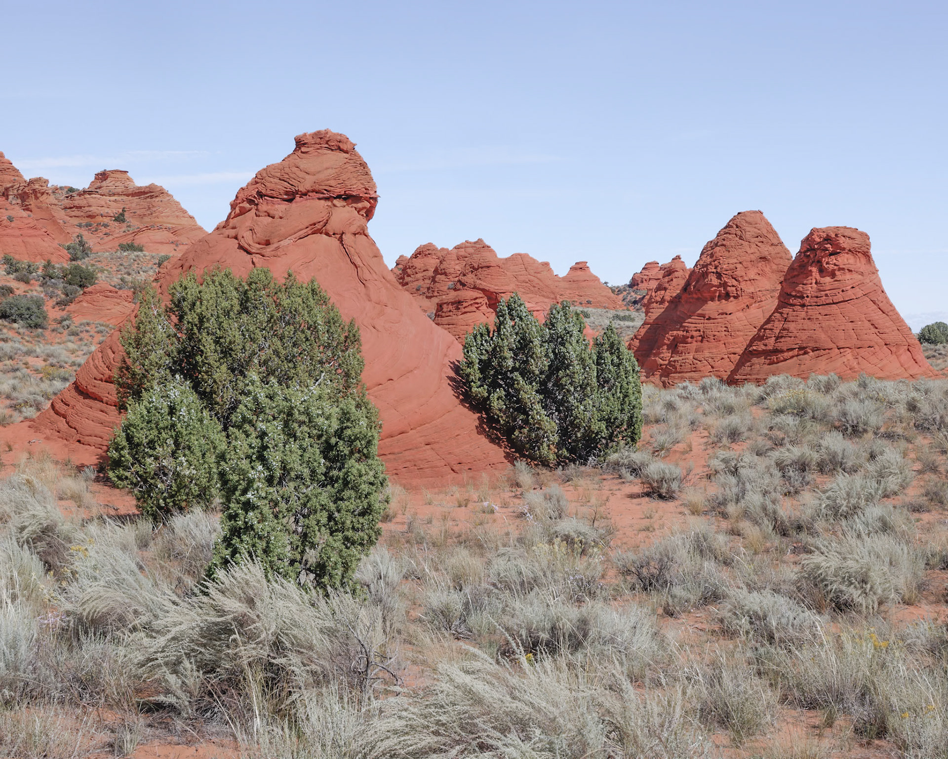 House Rock Valley Road, AZ UT