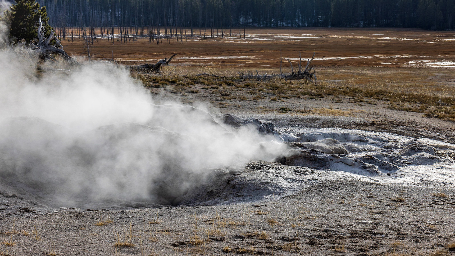 Grand Prismatic Spring, Yellowstone NP WY