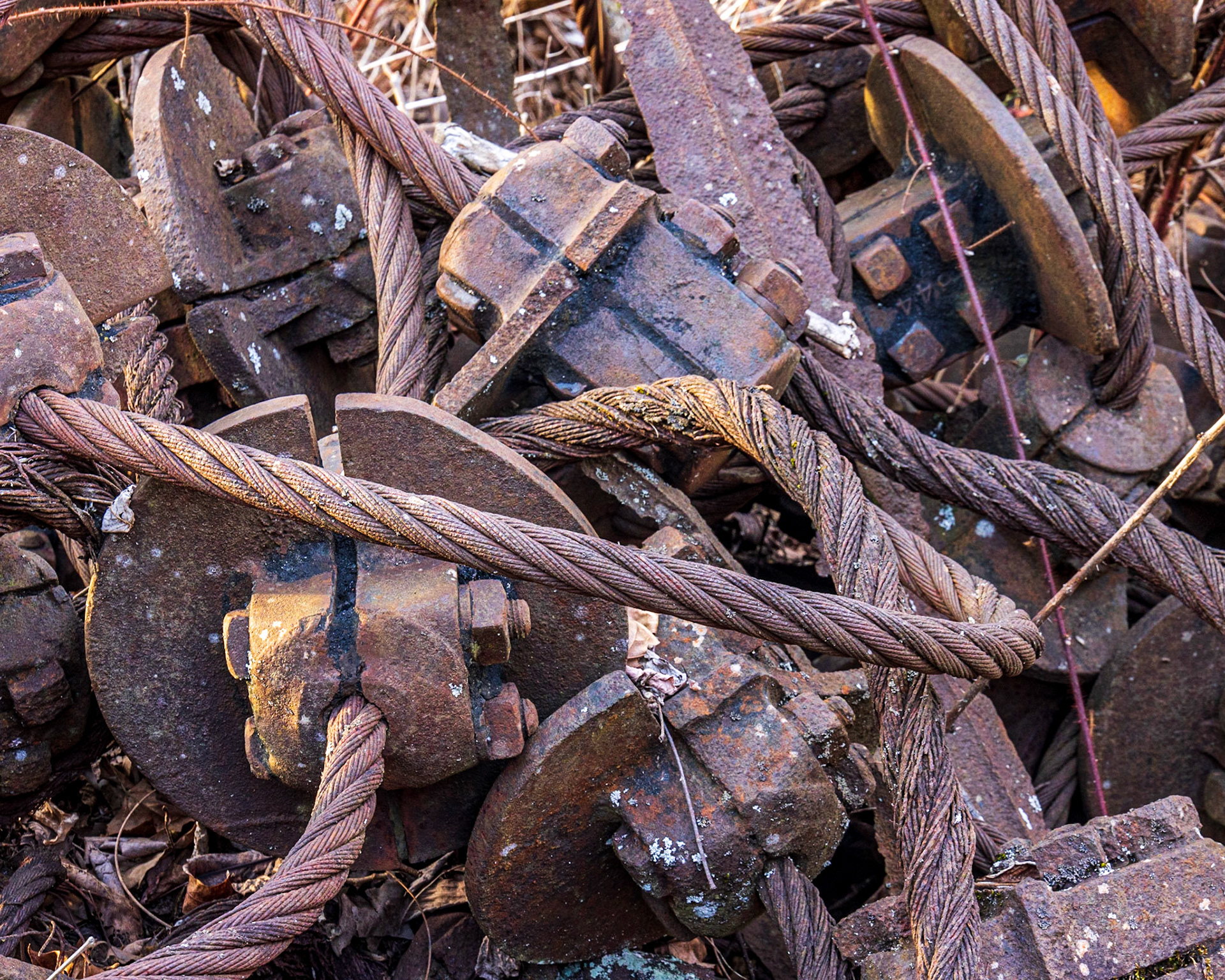 New River Gorge NP, WV