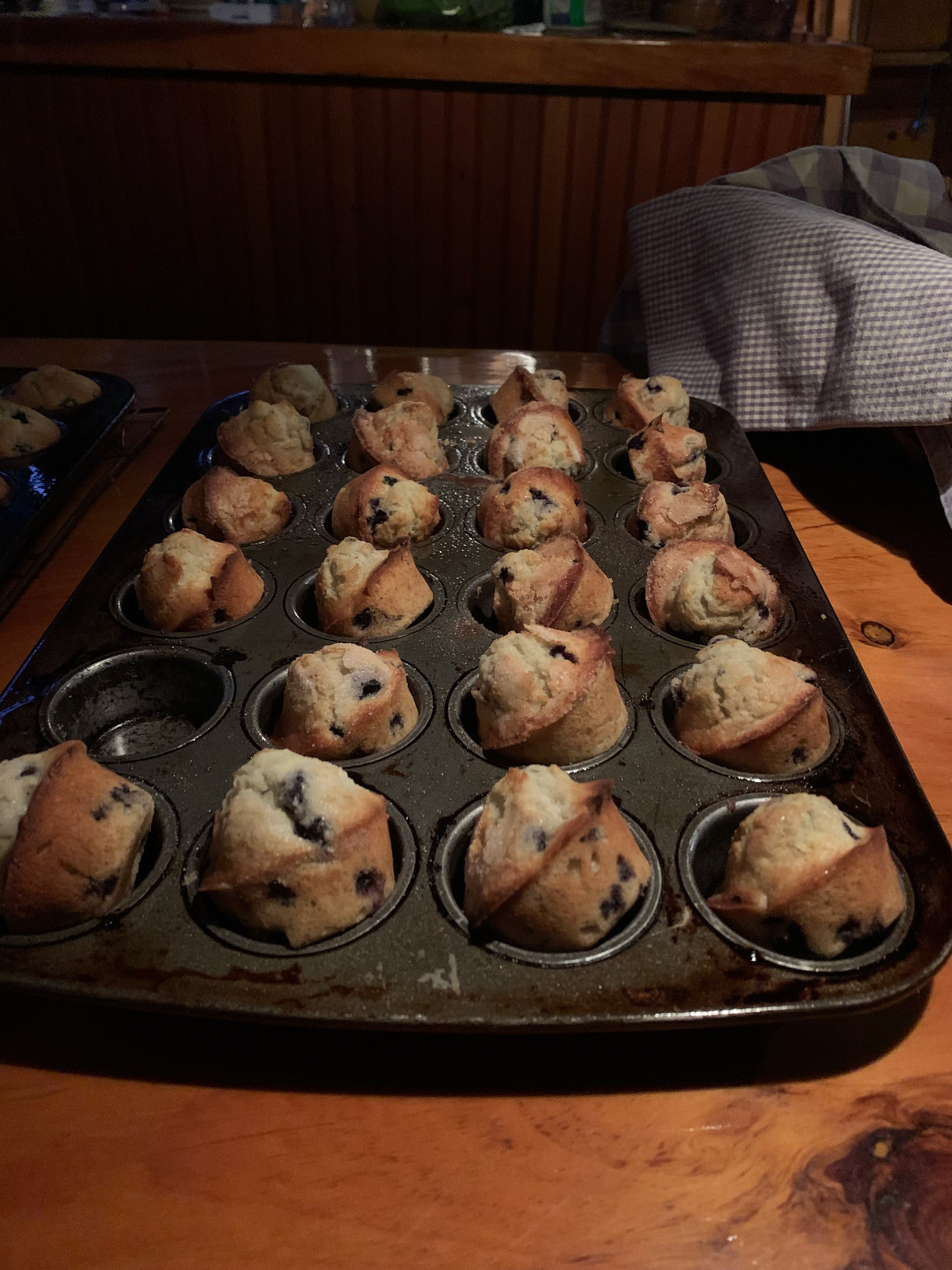 Warren Island State Park, ME