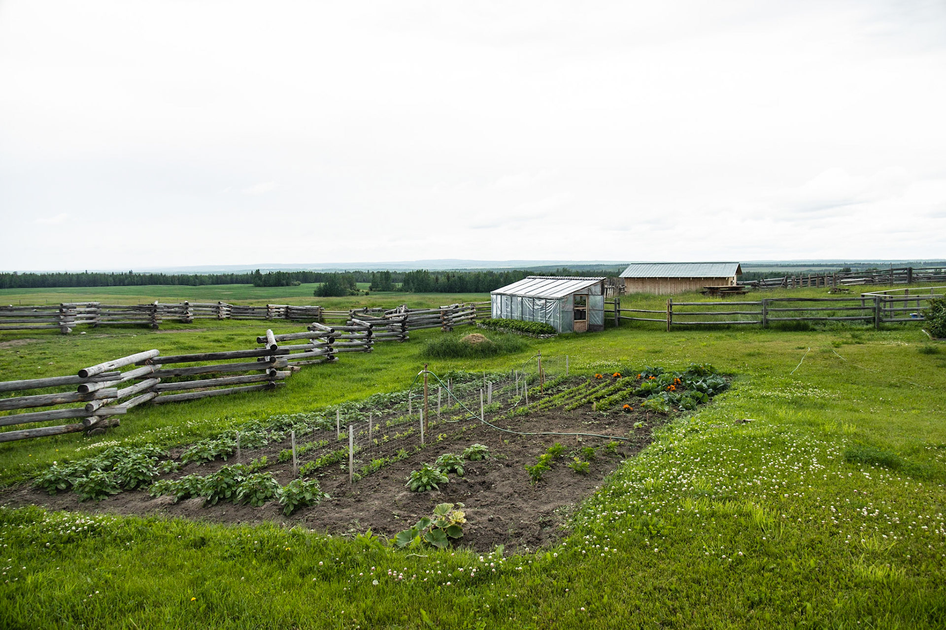 Rita and Clayton Steffey, Vanderhoof BC