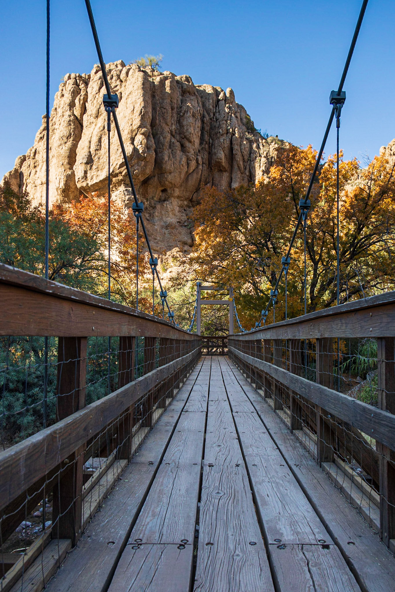 Boyce Thompson Arboretum, Superior, AZ