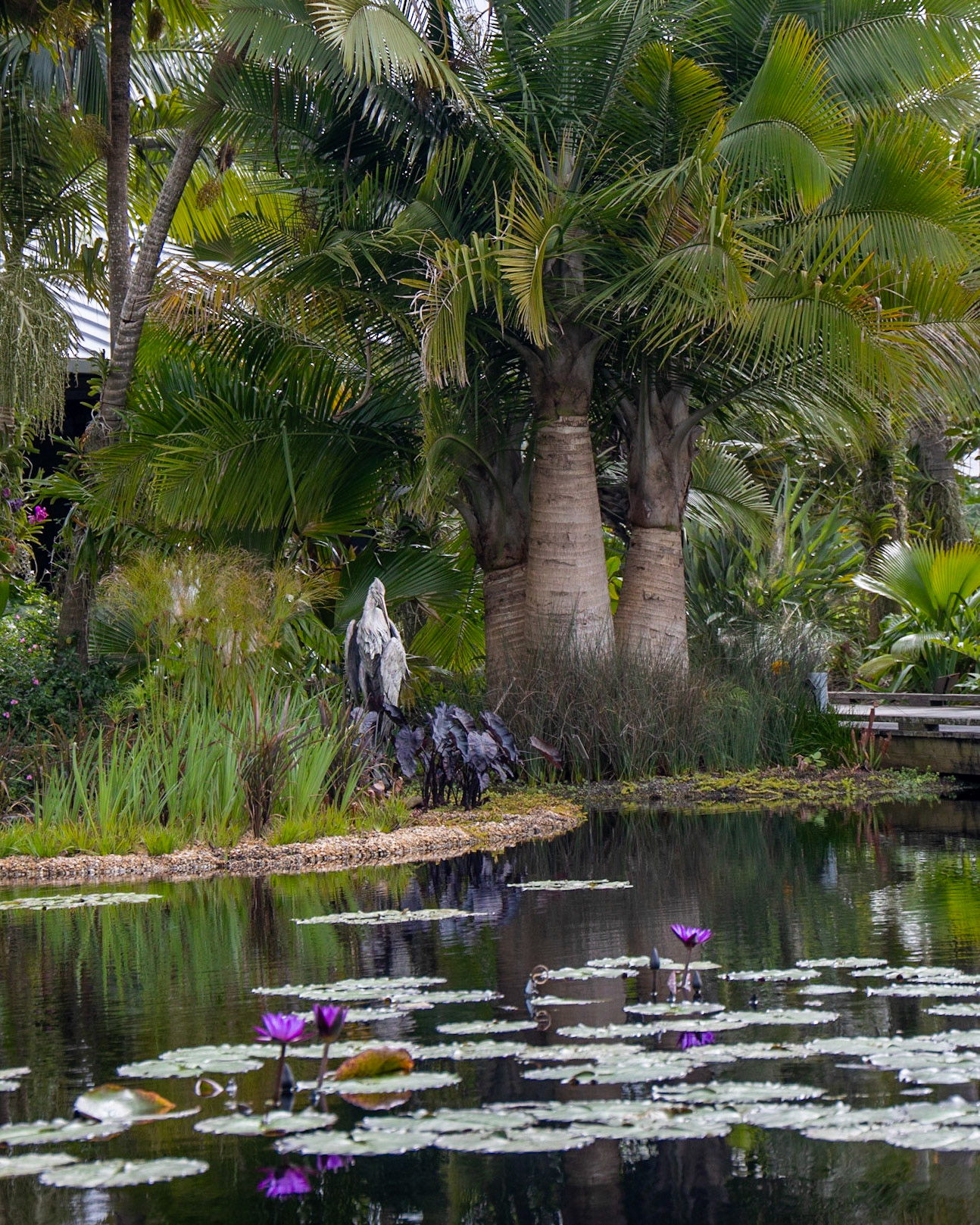 Naples Botanical Garden FL