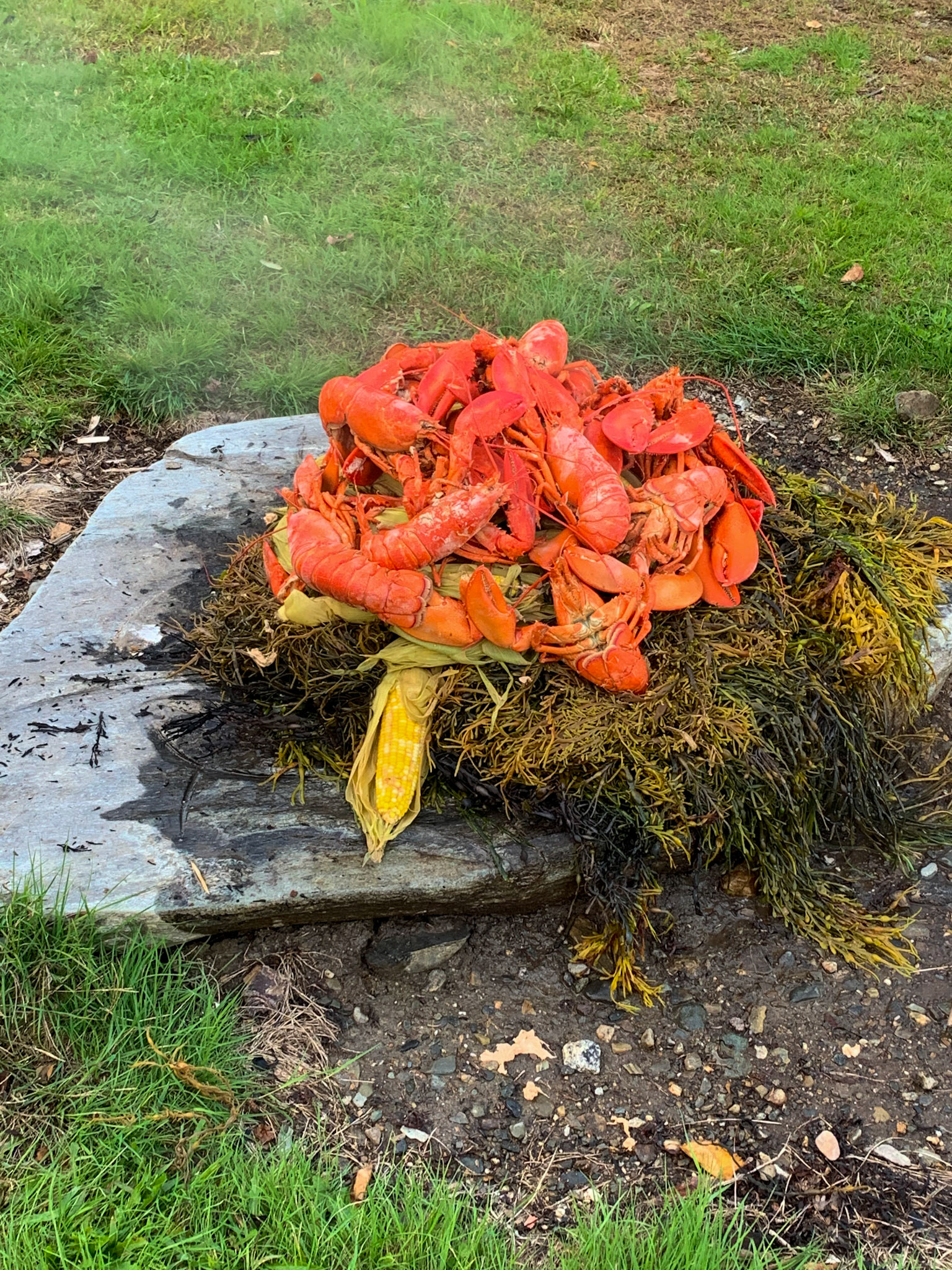 Warren Island State Park, ME