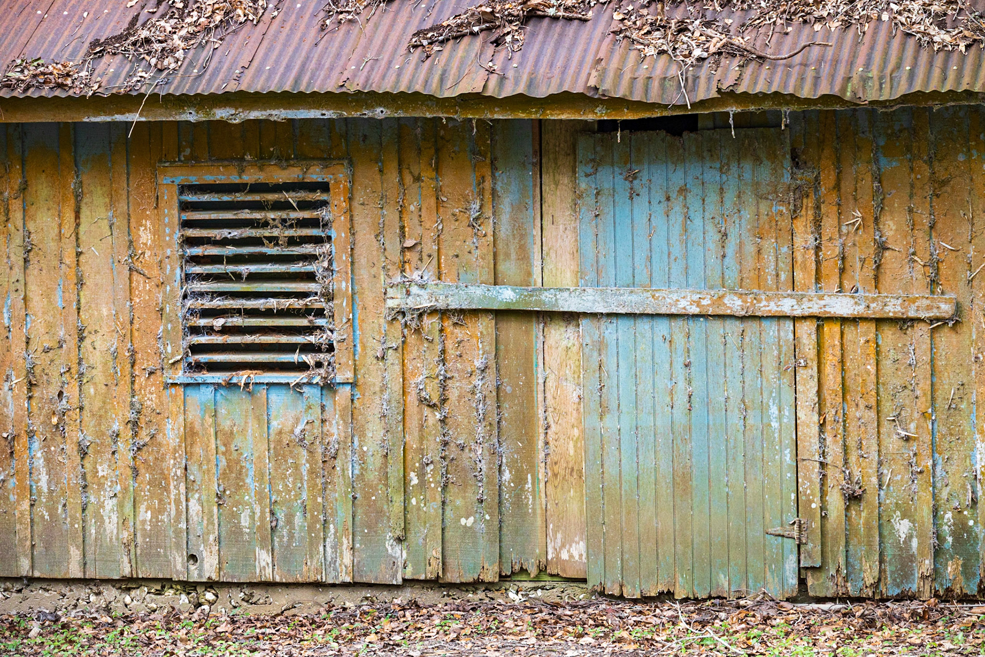 Avery Island Jungle Gardens LA