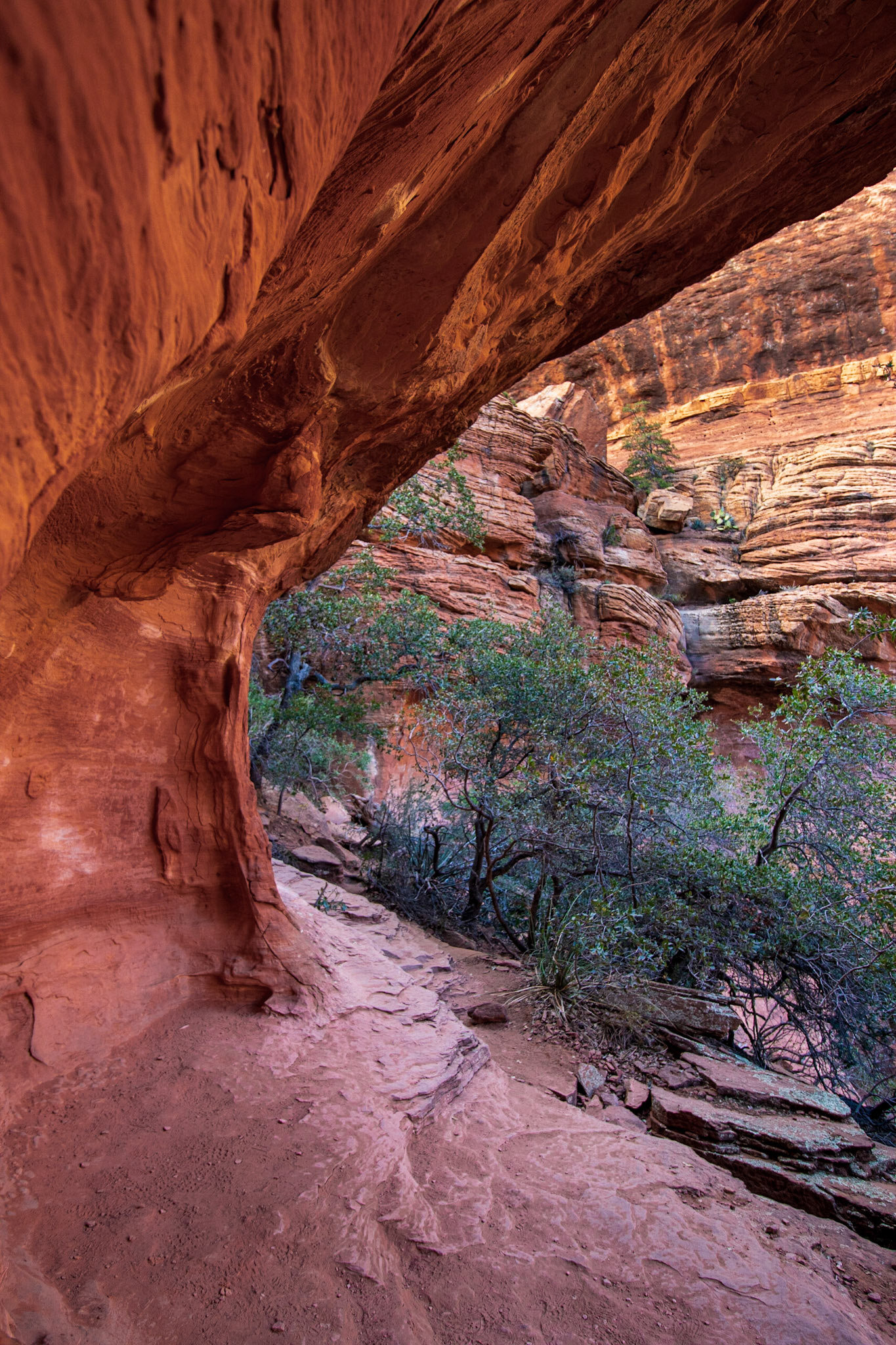 Boynton Canyon Trail, Sedona AZ