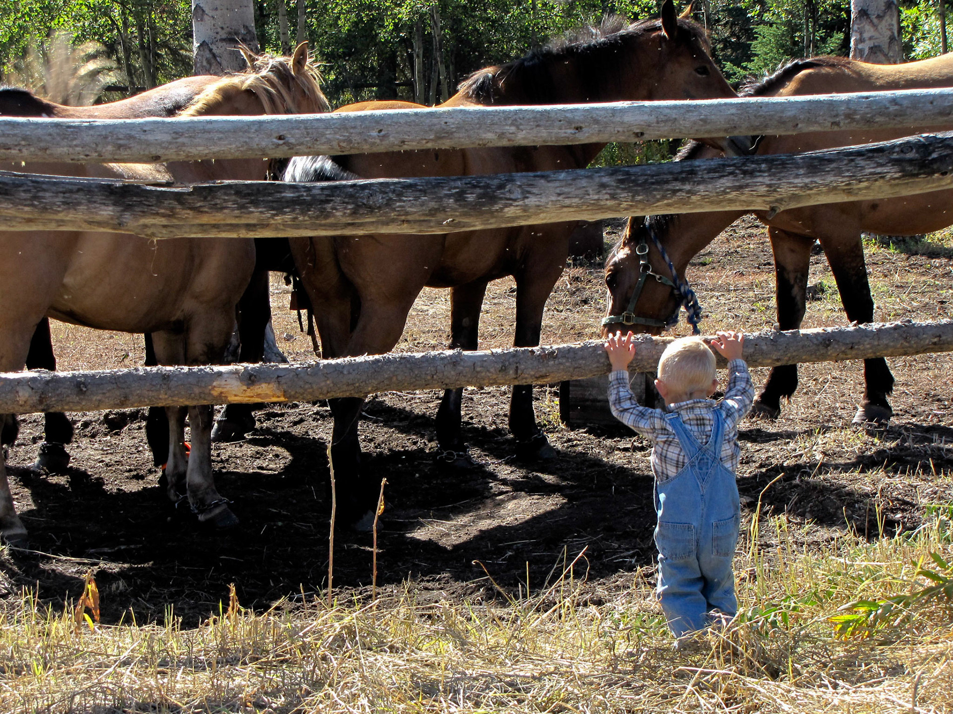 Hyland Ranch, Telegraph Creek BC CA