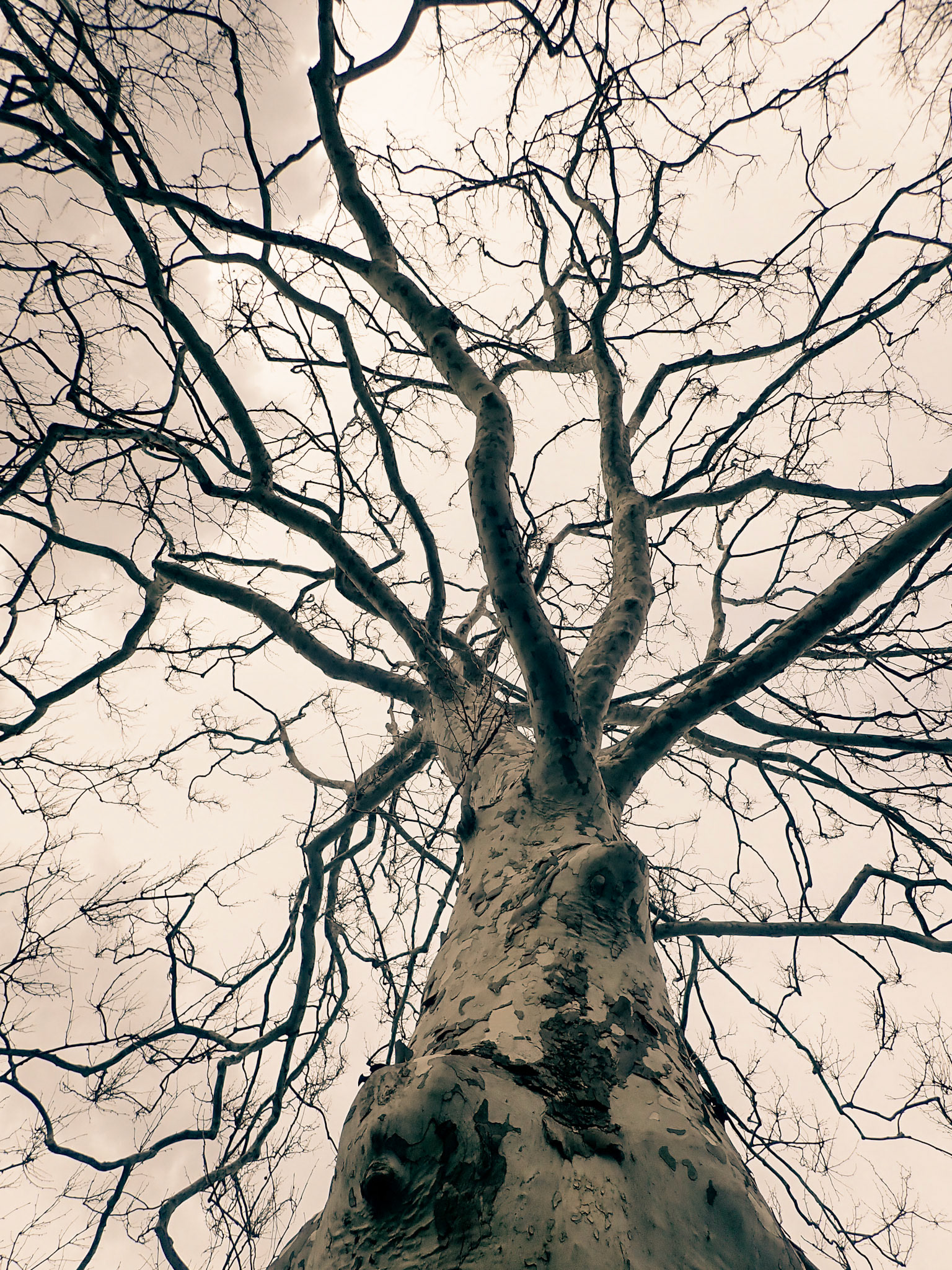 Wade Park, Cleveland OH