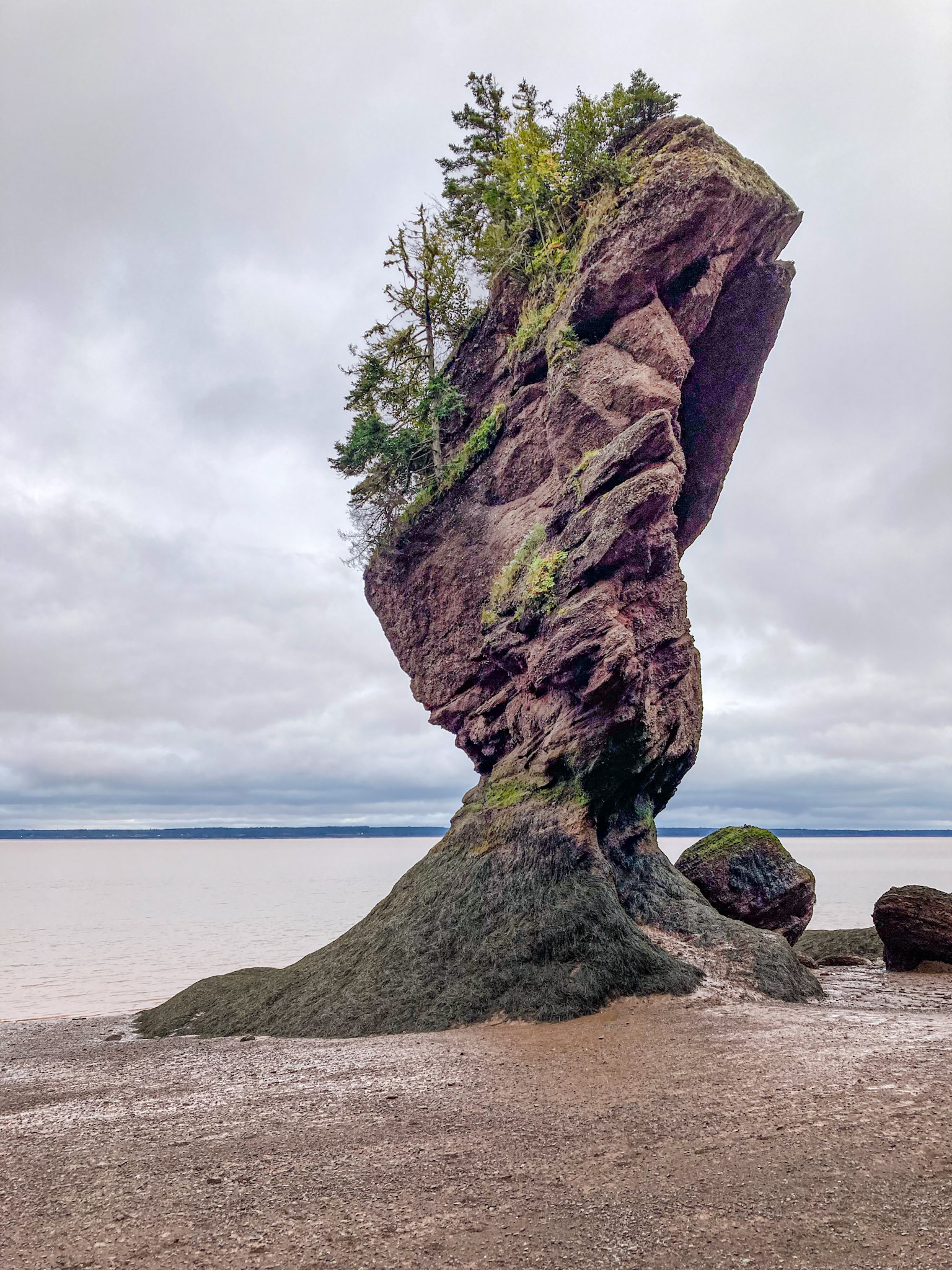 Hopewell Rocks PP, New Brunswick