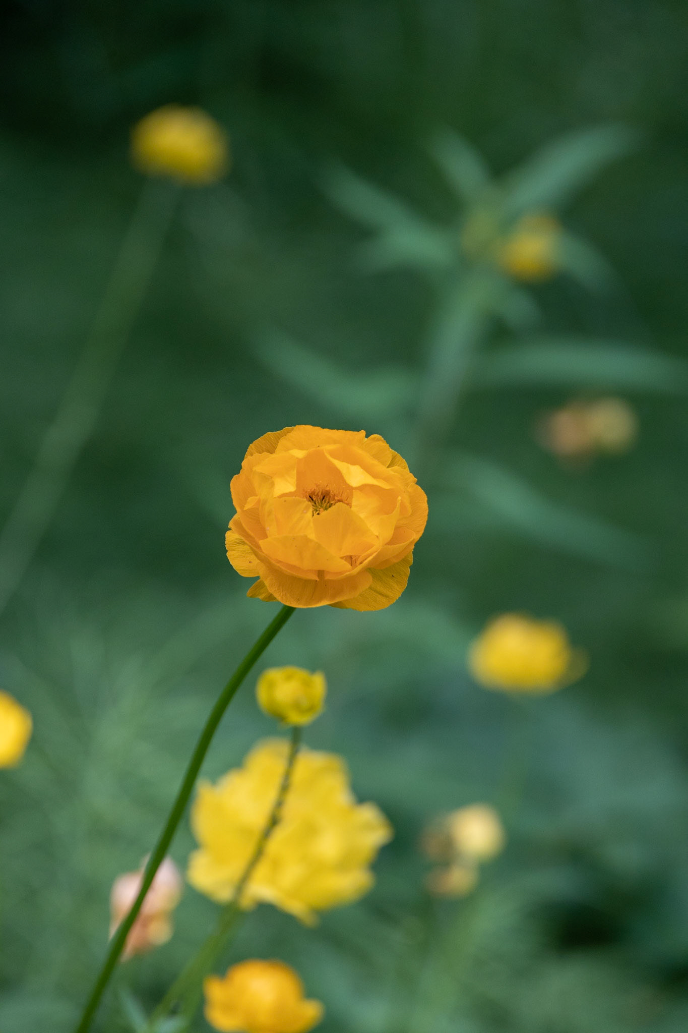 Bowman Mining Camp Trip, Lake Clark, AK